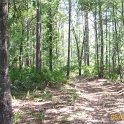 2012-May-05_HGR4X4_Richloam 192